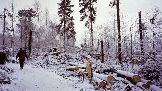 Skrylle 4 december 1999, dagen efter stormen. Foto: Gert-Inge Tapper
