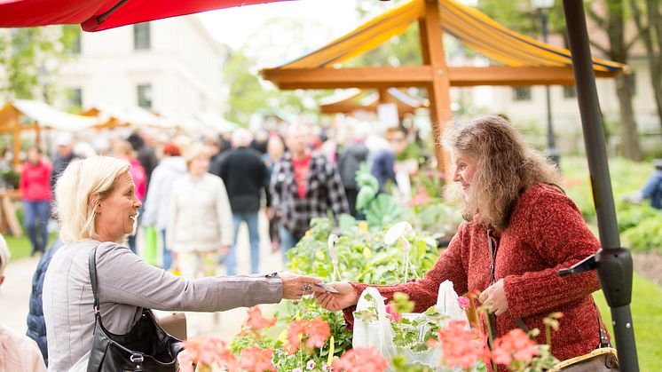 Trädgårdsdag i Karlslund