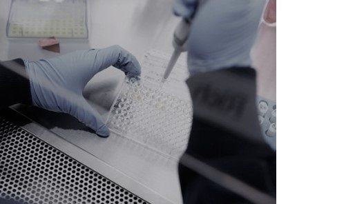 CELLINK ingår partnerskap med ARMI BioFab USA, UNH Manchester för regenerativtillverkningsevenemang