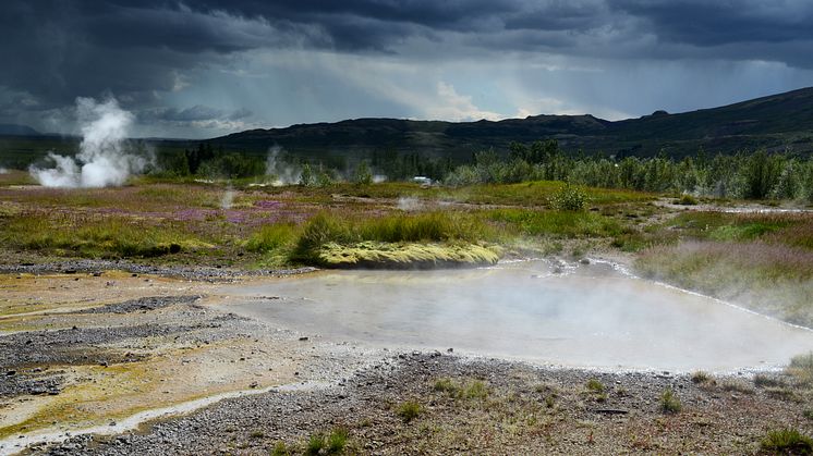 Bakterien Thermus thermophilus lever i varma källor. Foto: Peter Brzezinski