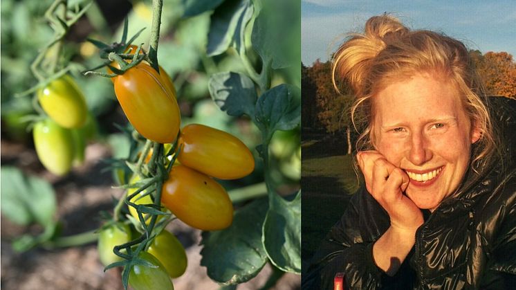 Vi vill leda branschen till rätt målsättningar, säger Annie Svensson, Greenfood. 