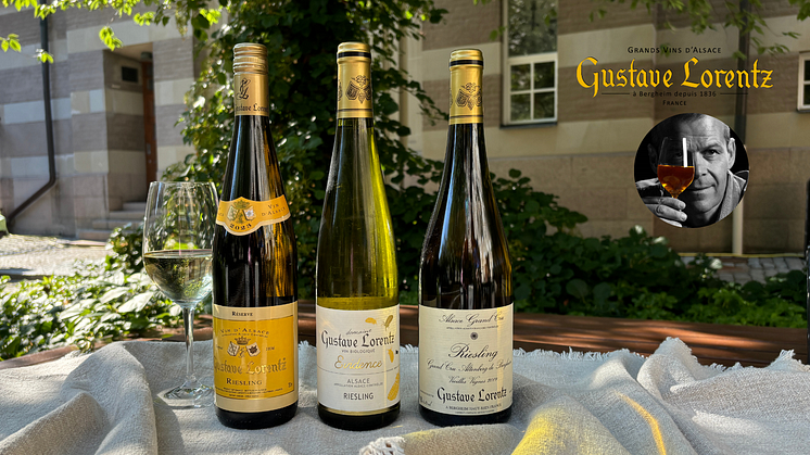 Nyhet - Gustave Lorentz ny producent från Alsace hos Ward Wines