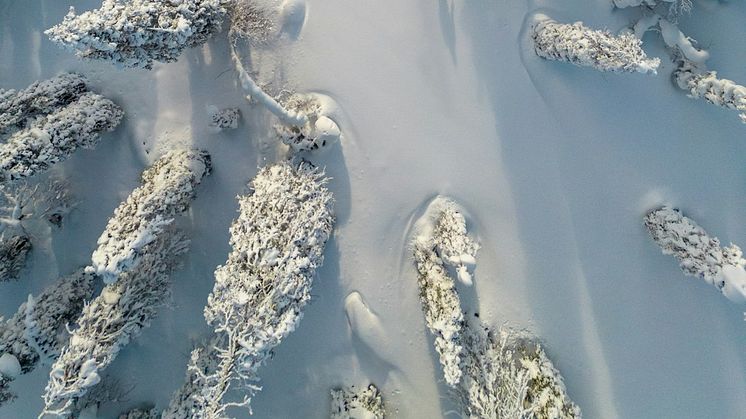 "Storstadskunden främjar hållbar tillväxt och stärker landsbygden"