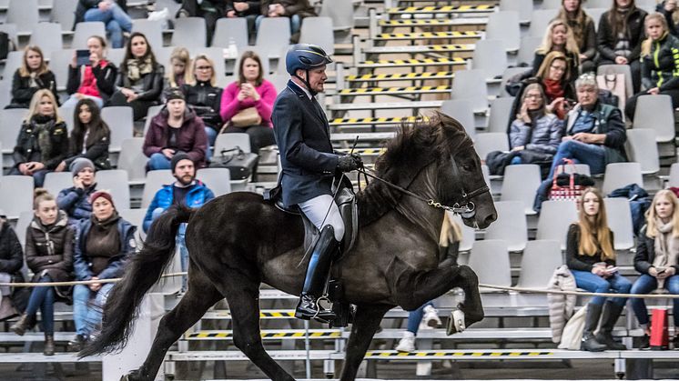 Vignir Jonasson på Viking från Österåker i dagens uttagning i V1 Fyrgång Foto: Elmia AB/ Sofie Lahtinen-Carlsson