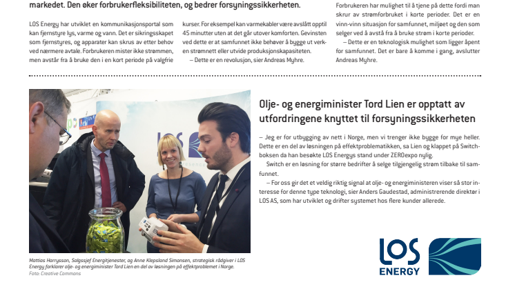 Presseklipp fra Energi21-bilag i Dagens Næringsliv - Innovativ fleksibilitet