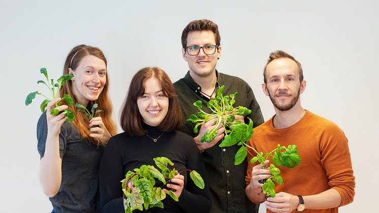 Från vänster Ellinor Emilsson - driftsansvarig Containing Greens, Moa Johansson - vd Containing Greens  och Adrian Arrosamena Mellgren - teknikansvarig Containing Greens och Andreas Eklund - verksamhetschef Go Business