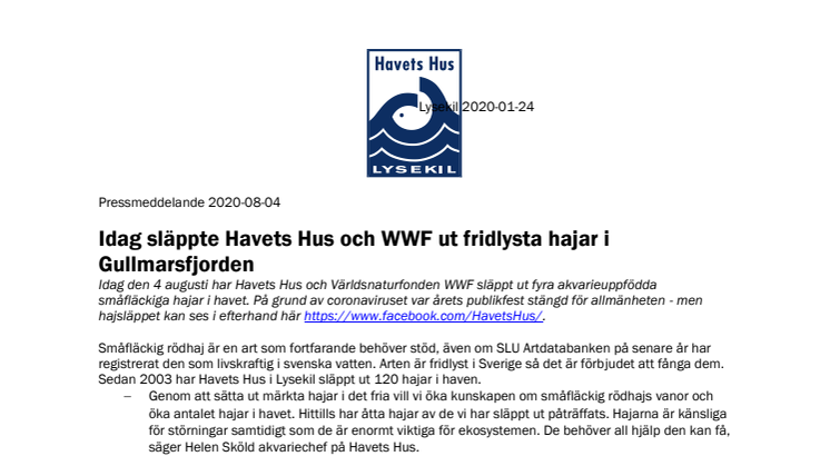 Idag släppte Havets Hus och WWF ut fridlysta hajar i Gullmarsfjorden