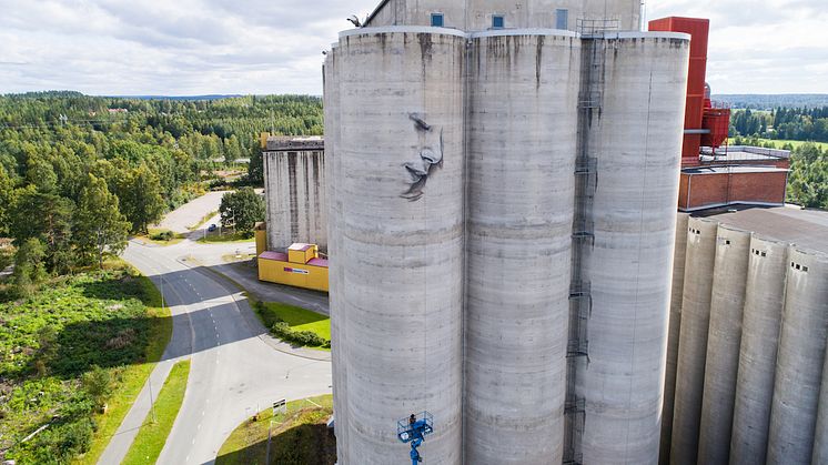 Guido van Helten ja Kantolan vanhat viljasiilot Hämeenlinnassa. Valokuva: Upeart.