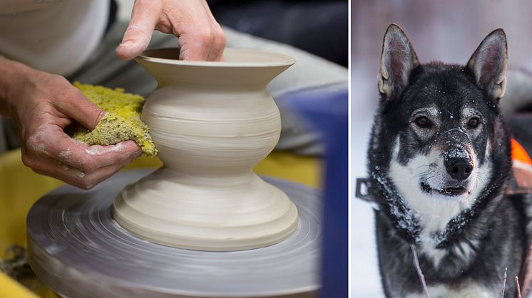 Dreja en kruka eller bli kompis med hunden – här är vårens trendigaste kurser. Fotografer: Simon Jung Krestesen samt Robert Nyholm