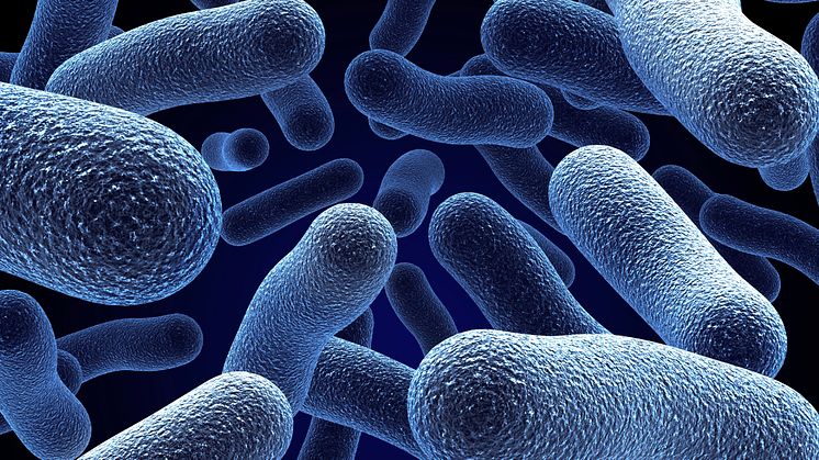 Ny onlineutbildning - Bakterier