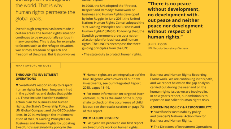 Swedfund fact sheet on Human Rights