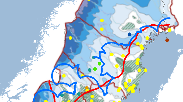 tussilago2022snö