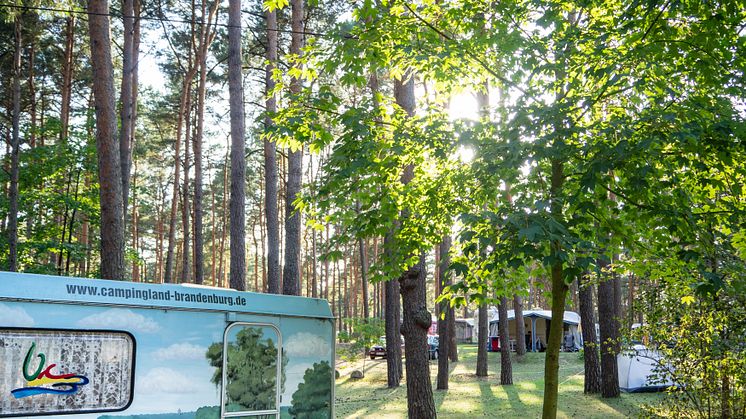 Camping war gerade auch im Corona-Jahr 2020 in Brandenburg sehr erfolgreich. Foto: TMB-Fotoarchiv/Steffen Lehmann.