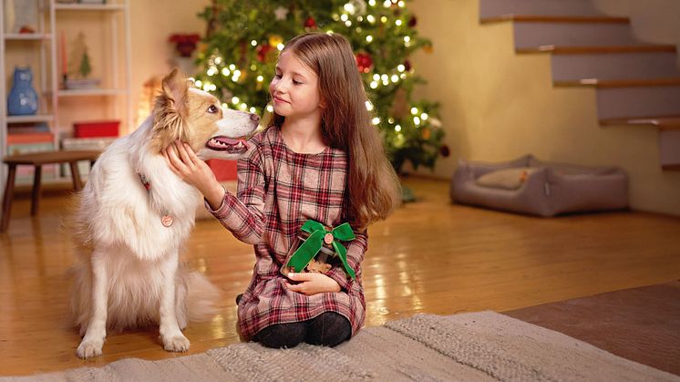 Auch 2023 gibt es einen emotionalen Weihnachtsspot von Fressnapf.