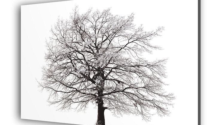 Lindab Art - Fasadkassett med träd som motiv