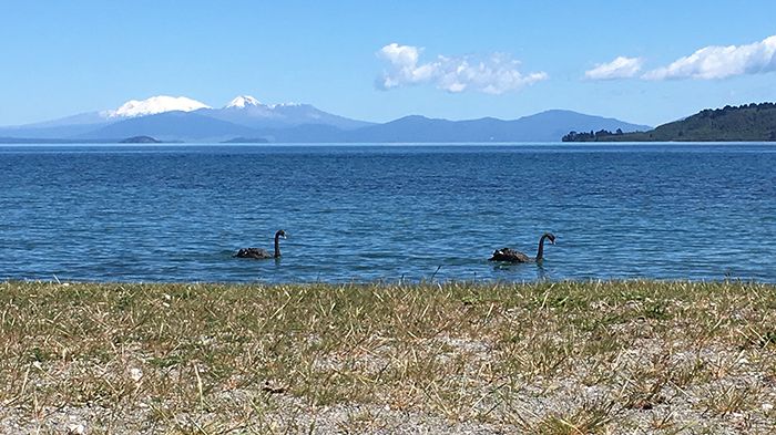 Taupo-sjön, Nya Zeeland, är betydelsefull för de maoriska stammarna i området. Förhandlingar kring kommersiell verksamhet där sker mellan maorierna, myndigheter och näringsutövare. (Carina Green, CBM, i sin artikel ”Att kombinera olika perspektiv”).
