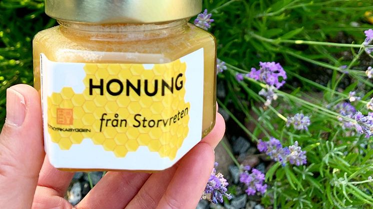 Honung från Botkyrkabyggens bikupor i stadsdelen Storvreten