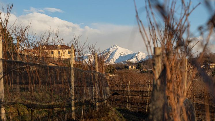 Monte Rosa