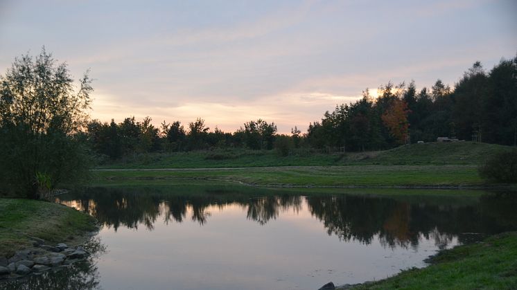 Välkomna på pressvisning av Filborna skogspark den 21 oktober