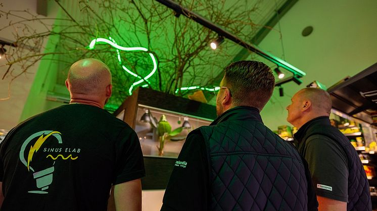 Reptilavdelningen på Zoogiganten lyses upp av grönt neonljus.