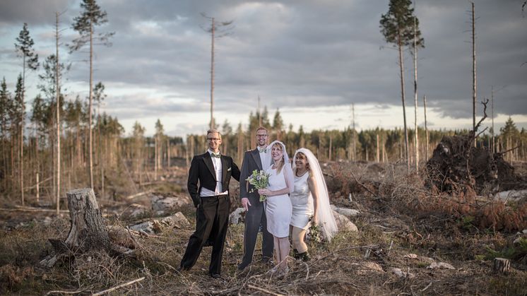 Filmen Bröllopsfotot - finskog och fulskog är nominerad till Publishingpriset. Foto: Sverker Johansson, Bitzer