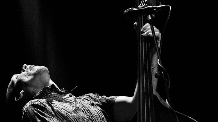 Avishai Cohen, foto Sascha Bullert.