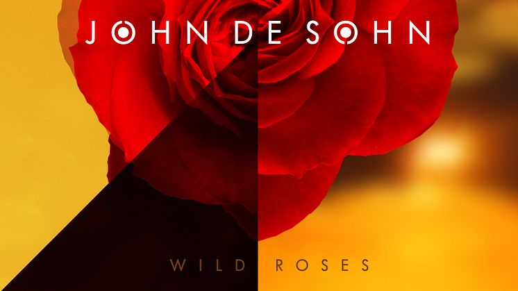 John de Sohn släpper "Wild Roses" inför kommande debutalbum
