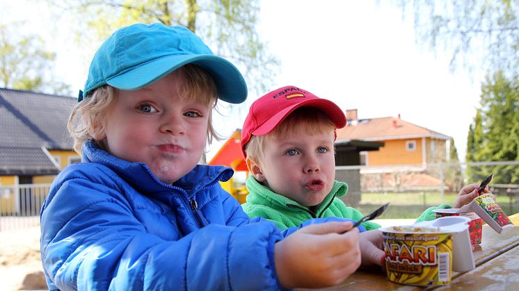 Safariyoghurt med müslistjerner