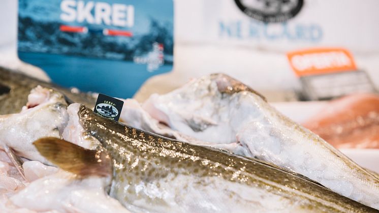 Skrei