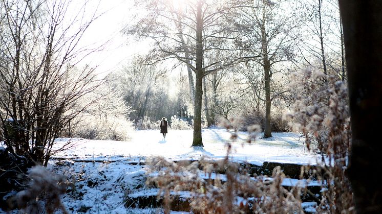 Snöig folkets park