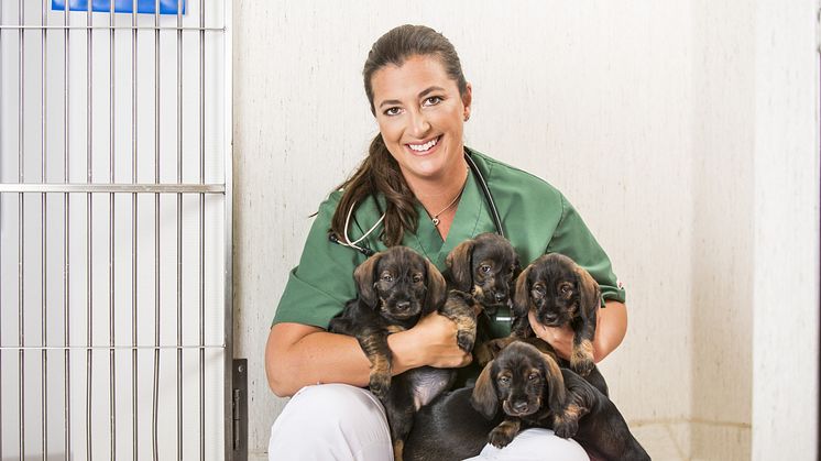 Veterinär Marie Jury, Väsby djursjukhus, författare av boken Så slipper du veterinären. En bok för dig som funderar på att köpa valp eller vuxen hund för att göra kloka val och slippa onödiga veterinärkostnader