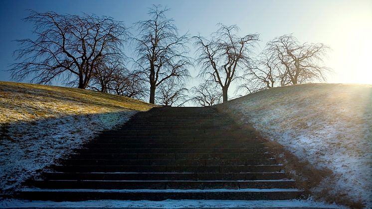Svevia får fortsatt förtroende för att sköta om grönytor och gravplatser på Skogskyrkogårdens norra del. Foto: Susanne Hallman