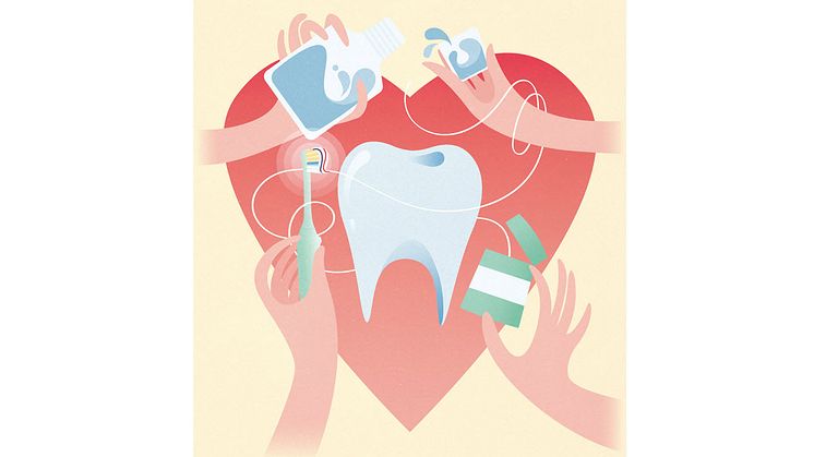 Borsta för hjärtat enligt 2+2+2-metoden, det vill säga borsta 2 minuter, 2 gånger om dagen, med 2 cm tandkräm. 