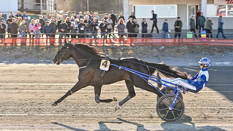 Dags för debut i världens största sprinterlopp! Foto: TR Bild