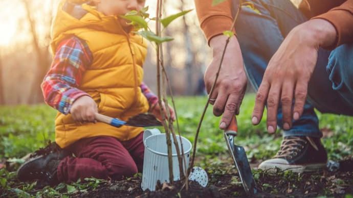 Kasvien parissa puuhaileminen yhdessä lasten kanssa vähentää ruutuaikaa ja parantaa lasten luontotietoutta sekä hyvinvointia
