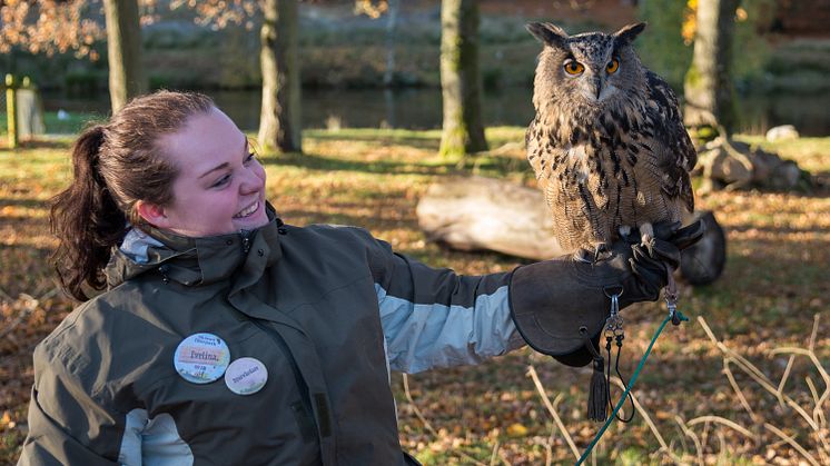 Fågelmöte med djurvårdare på Höst i Skånes Djurpark