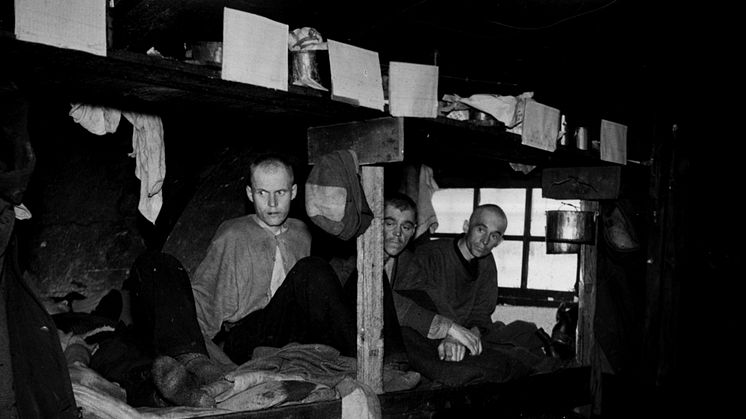 Tvangsarbeidere under 2. verdenskrig 