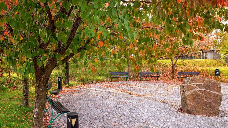 Bild från bänkarna på Hjärnarps torg. En typ av mötesplats. Bild: Ängelholms kommun