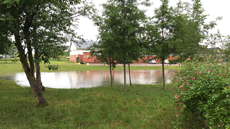 Översvämmad damm i juni 2015 på Opalvägen i Hyllinge när ett 66-årsregn föll inom loppet av fyra timmar. Foto NSVA