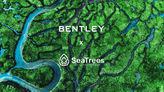 Bentley Environmental Foundation - 1