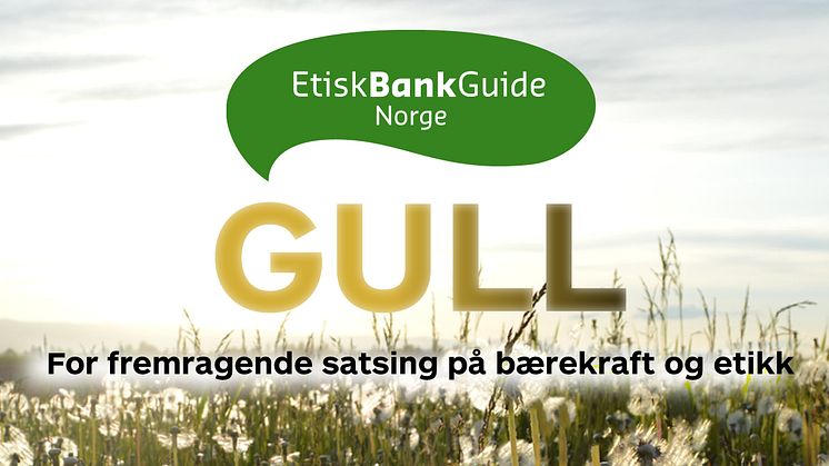 På topp i Etisk Bankguide 2017