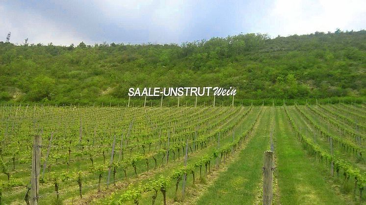 Saale-Unstrut vinskilt