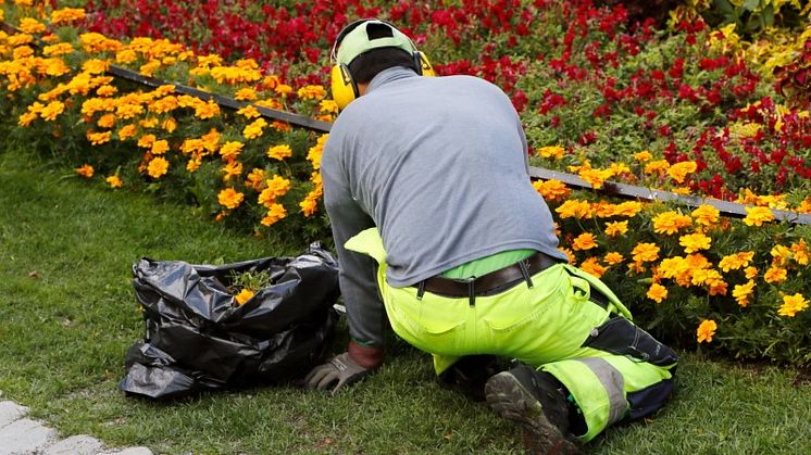 Feriejobb till 734 ungdomar i Haninge