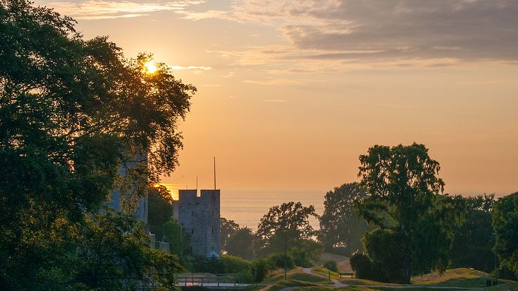 Almedalsveckan äger rum i Visby mellan den 1 - 8 juli. Bild: Region Gotland