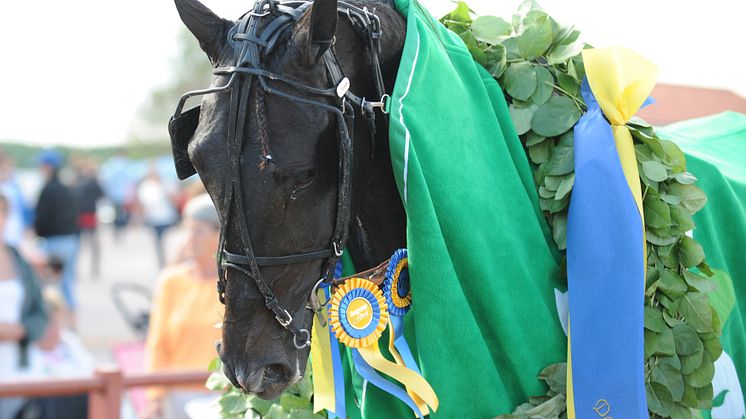 Sommartravets Final i Rättvik med Jackpot