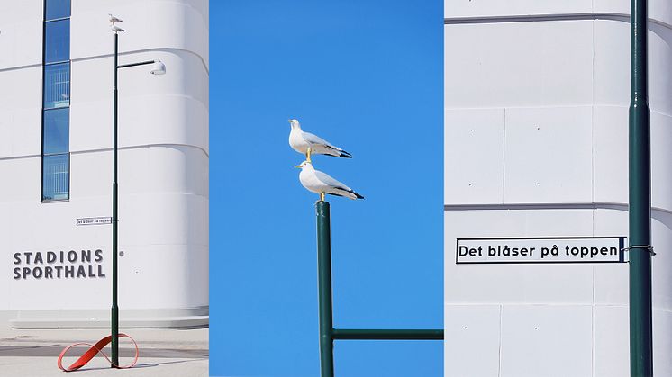 Med konstverket Det blåser på toppen önskar Magnus Thierfelder Tzotzis inspirera dagens elever till att bli morgondagens medborgare oavsett om det blir sporten, konsten eller något helt annat de väljer att utveckla.