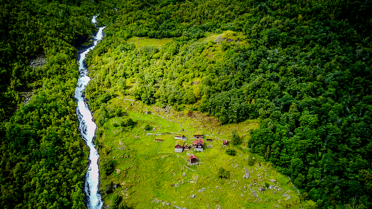 Grüner Wasserstoff aus Wasserkraft: Mit Norwegen als Partnerland die deutschen Klimaziele erreichen