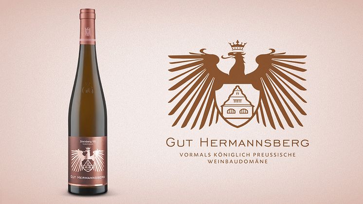 Gut Hermannsberg Steinberg Niederhausen Riesling GG 2022 - 399 kr