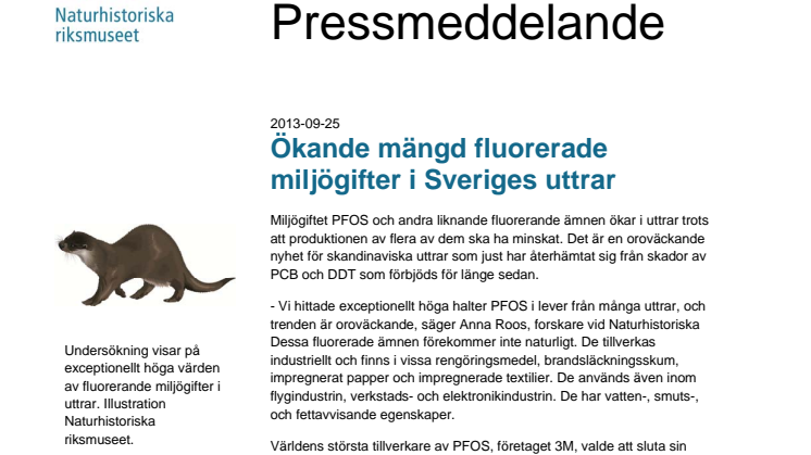 Ökande mängd fluorerade miljögifter i Sveriges uttrar