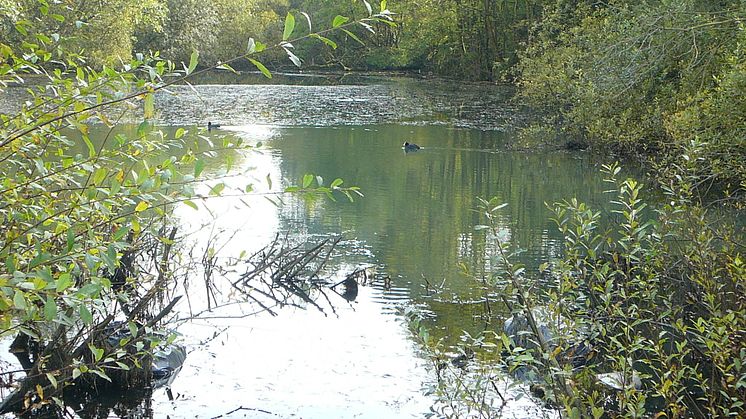 A new nature reserve for Radcliffe?